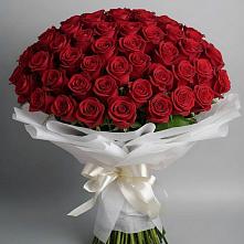 Букет 101 Красная роза Блэк Мэджик в Кабардинка