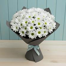 Букет цветов из:  Хризантемы в Кабардинка