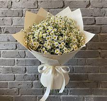 Букет цветов из:  Ромашки в Кабардинка
