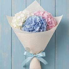 Букет цветов из:  Гортензия в Кабардинка