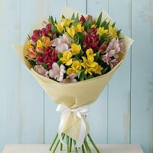 Букет цветов из:  Альстромерии в Кабардинка