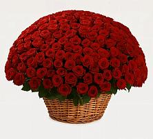 Премиум букет из: Розы в Кабардинка