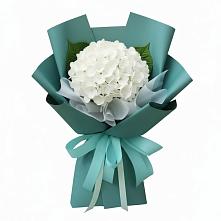 Букет цветов из:  Гортензия в Кабардинка